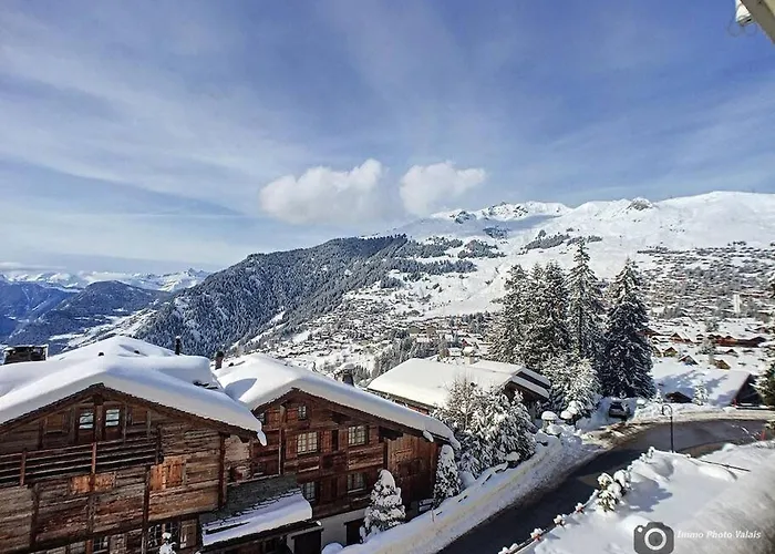 Daire Bruyeres B33 *